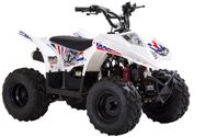 Viarelli 90 cc Barn