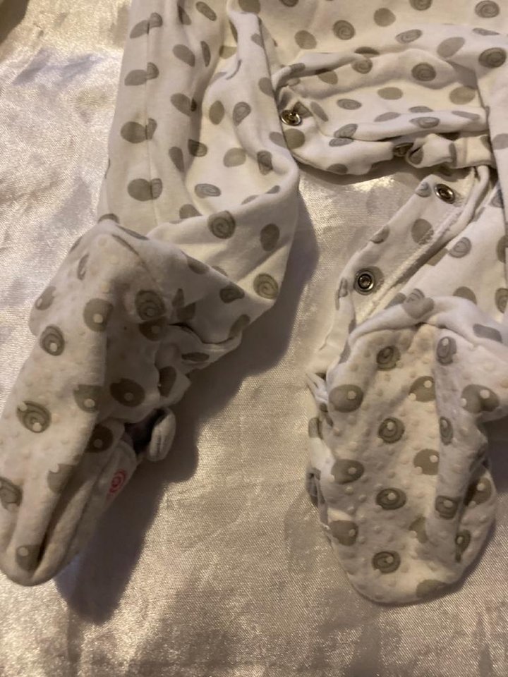 Bebis Bodies