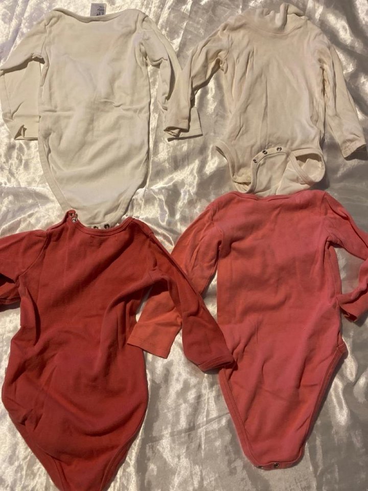 Bebis Bodies