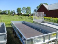 Ifor Williams LM 186