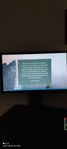 Gamingskärm / Benq zowie XL2411 144hz