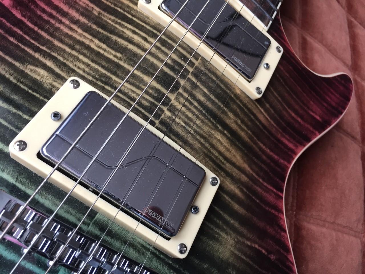 les Paul Soloking