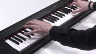 Yamaha Piaggero NP-32 i fint skick