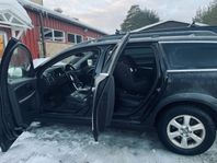 Dvärgvädur/teddyvädur