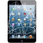 Och Apple iPad Air & 5 ,6 , 7 Reservdelar & Tillbehör