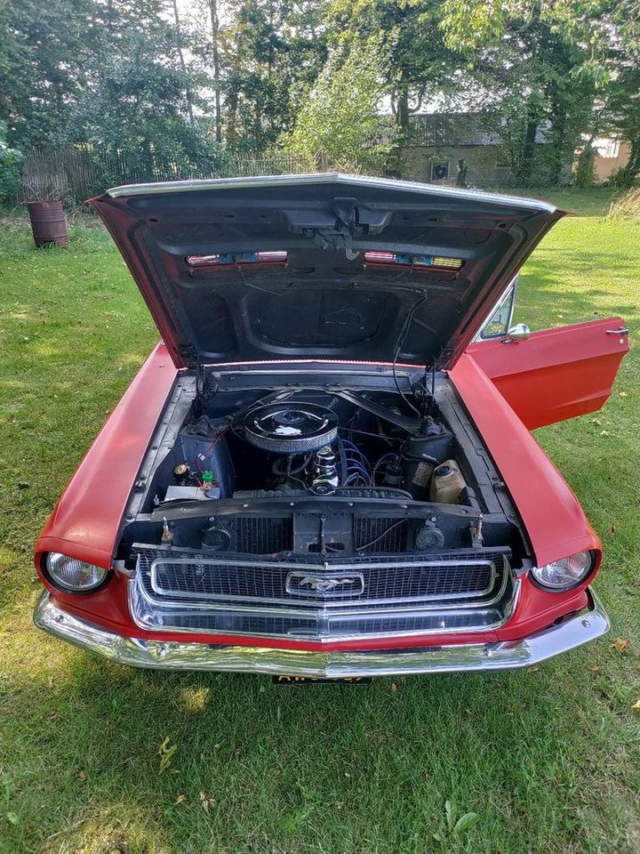 1968 Ford Mustang Survivor