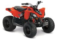 Can-Am DS 90