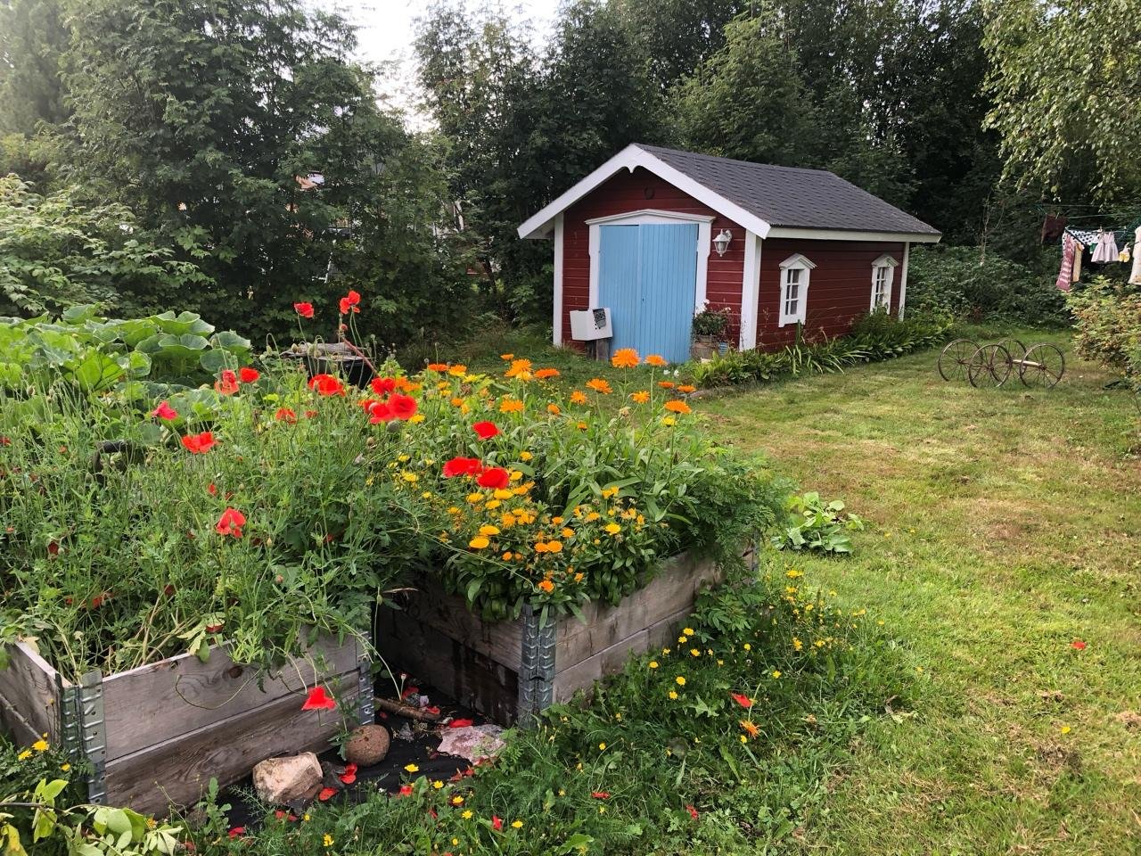 Norrbottensgård vid Kalix älven