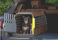 Hundbur Variocage MiniMax L