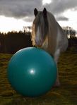 Hästboll - aktivera hästen
