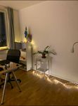 Sublet Studio in Folkets Park