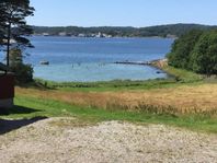 Drömställe vid havet, klipporna, stranden och skogen.