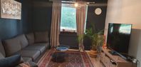 Comfortable family apartment