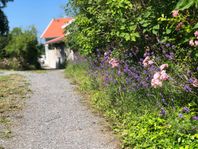 Sjönära sommarhus på Djurö - 50 min med bil/buss fr Slussen