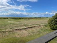 Södra Fågelsträcket, Falsterbo