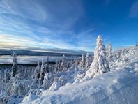 Magisk Ski Lodge i snösäkra Björnrike