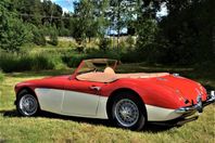 Austin-Healey 100-6 OBS! Works-motor 175HK+