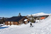 Åre, Björnen lägenhet uthyres. 