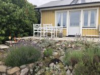 Hus vid havet 1 mil norr om Visby på Salthamn