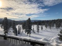 Stuga i Sälenfjällen med fantastisk utsikt, skidspår 100m