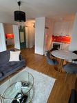 Shared Room in Luxury Apartment for short stay