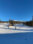 Vemdalen, Björnrike, Ski in ski out, med milsvid utsikt🌟