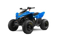 CFMOTO 110 CFORCE 110 EFI