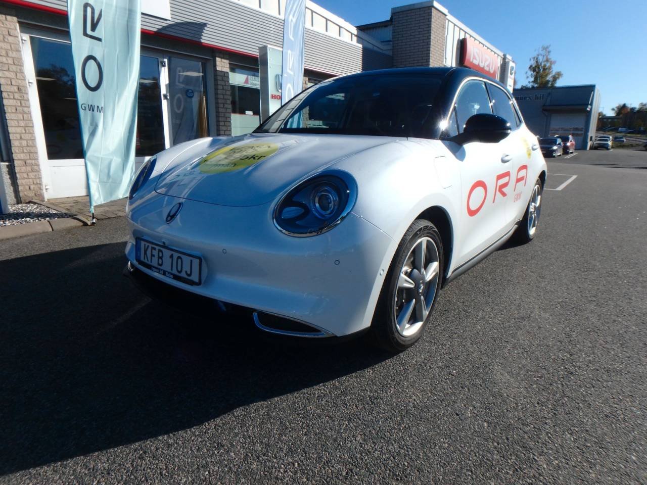 Schone Ora Funky Cat Leasing Bilder
