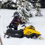 Ski-Doo MXZ 120