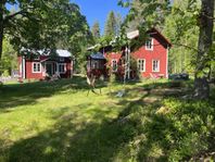 Sommardröm i Hälsingland