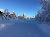 En stuga med utsikt över backar i Tandådalen och Hundfjället