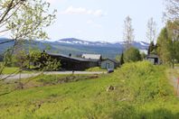 Rörvattnet  503, 409
