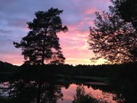 Idyllisk stuga vid sjön (för kattälskare enbart)