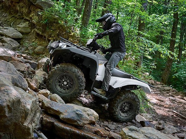 Yamaha Grizzly 700 EPS Passa ...