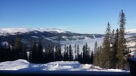 Åre _ Björnen