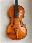 Fin varm violin fiol