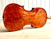 Mycket vacker violin fiol