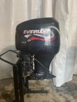 Evinrude ficht 150 199 sjunken