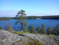 House or room to rent, 30 min to Stockholm