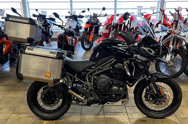 triumph explorer xcx