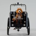 Cargobike DeLight Dog Lådcykel med mittmotor