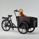 Cargobike Flex Dog Lastcykel med el