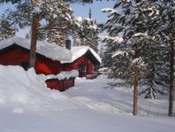 Mysig och fräsch fjällstuga nära Lindvallen (Sälen)