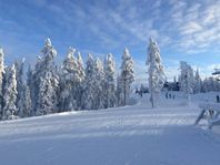 Njut av fartfyllda åk i Kungsberget, Gästriklands paradis