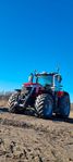 Massey Ferguson 8S 265