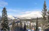 Åre-Björnen vecka 9 lö-lö