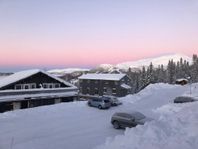 Ski in/ski out i Åre Björnen