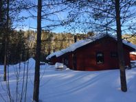 Billigt bra boende i Sälen, Nyår, 7 bäddar, husdjur välkomna