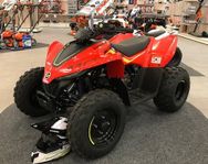 CFMOTO ATV CFORCE 110 NY!