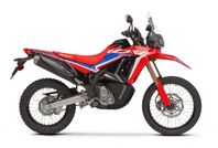 Honda CRF300 RALLY -24